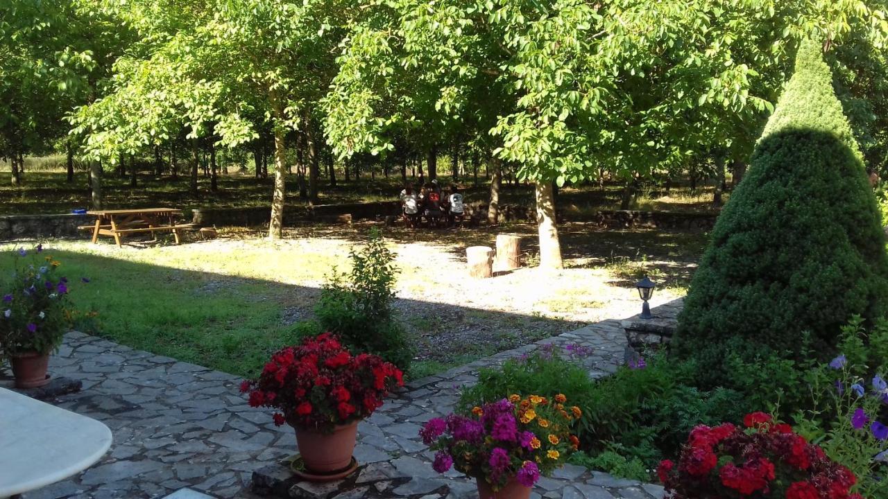 Andrea Sofi Guesthouse ديميتسانا المظهر الخارجي الصورة
