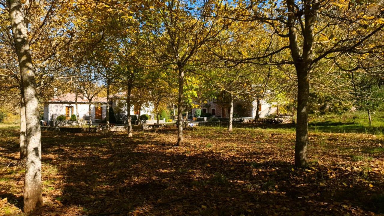 Andrea Sofi Guesthouse ديميتسانا المظهر الخارجي الصورة
