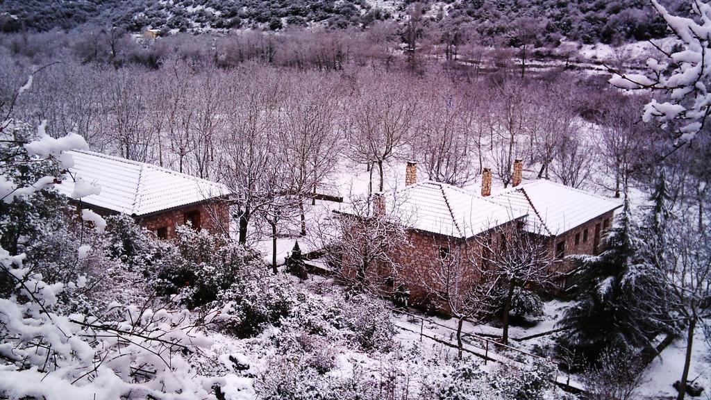 Andrea Sofi Guesthouse ديميتسانا المظهر الخارجي الصورة