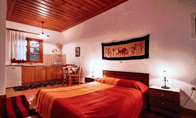 Andrea Sofi Guesthouse ديميتسانا المظهر الخارجي الصورة