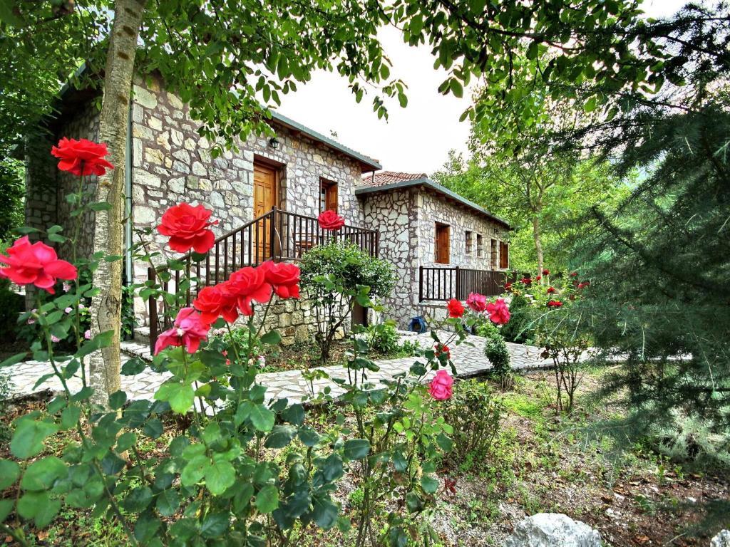 Andrea Sofi Guesthouse ديميتسانا المظهر الخارجي الصورة