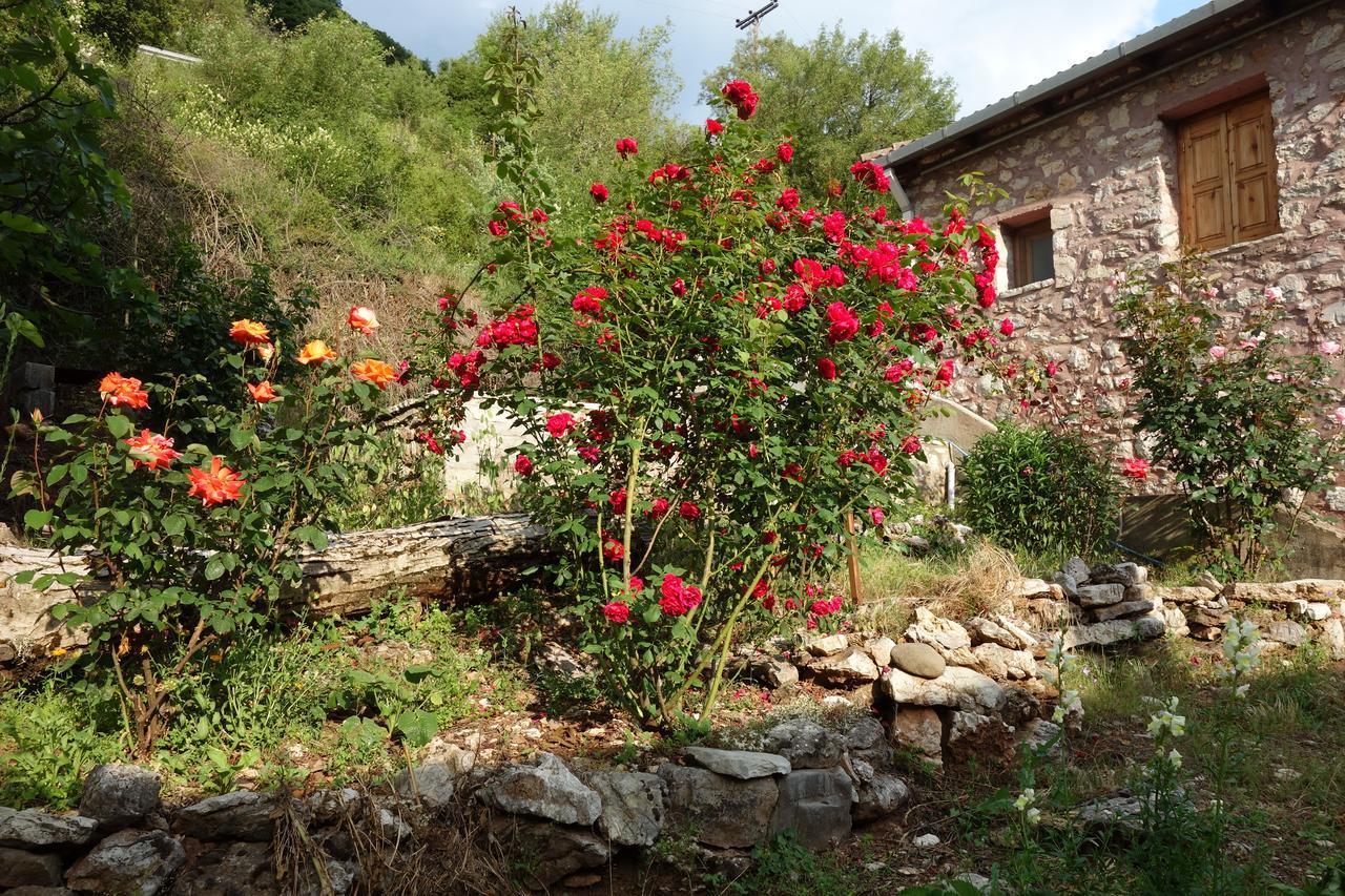 Andrea Sofi Guesthouse ديميتسانا المظهر الخارجي الصورة